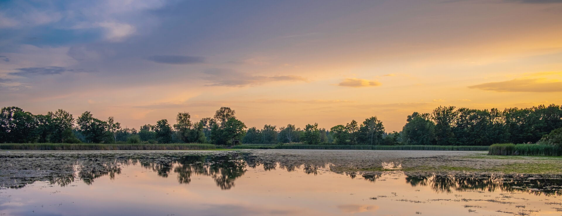 Stadtgebiet mit Gebäuden und Straßen aus der Vogelperspektive